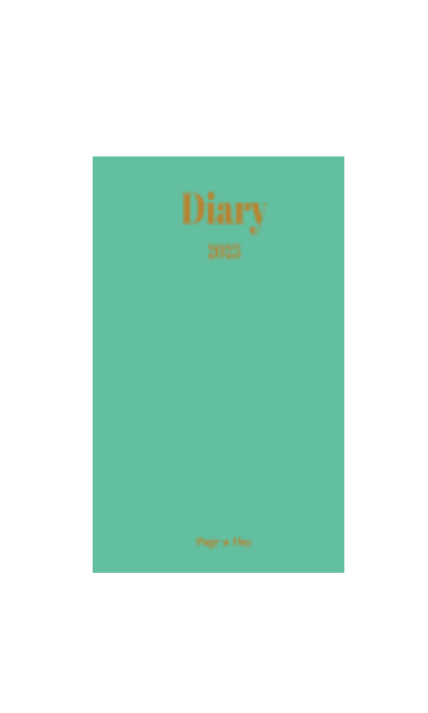 The 2025 Diary in Aqua Marine Hard Cover.