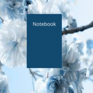 Notebooks
