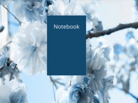 Notebooks