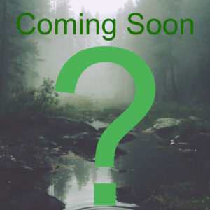 A Casey Porter Series.