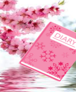 Diaries/Journals